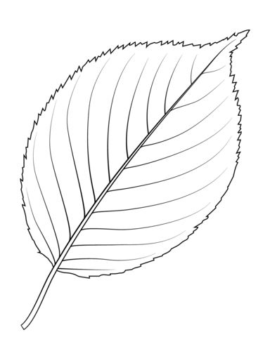 Apple Tree Leaf Coloring Page